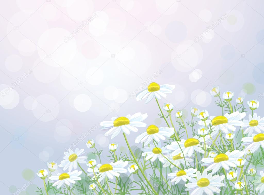 Vector of spring background