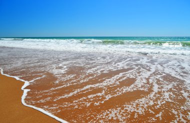 Güzel tropikal plaj.