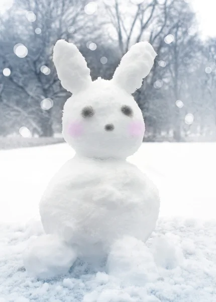 Zábava zasněžené králík v parku — Stock fotografie