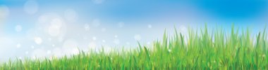 Vector of blue sky background with grass.
