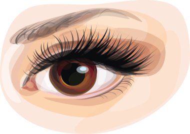 Vector of beautiful brown woman's eye. clipart