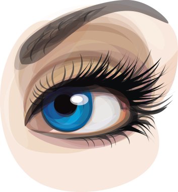 Vector of beautiful blue woman's eye. clipart
