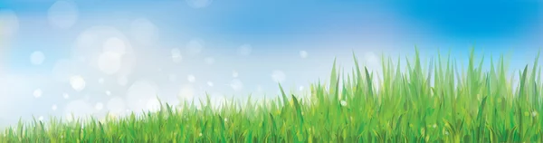Vector van blauwe hemelachtergrond met gras. — Stockvector