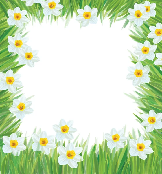 Vector de marco de flores de narciso para primavera, diseño de Pascua . — Vector de stock