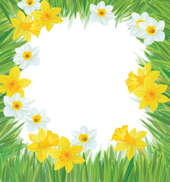 Vector de marco de flores de narciso para primavera, diseño de Pascua . — Vector de stock