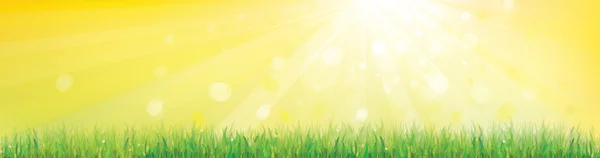 Vector of sunny sky background with grass. — Stock Vector