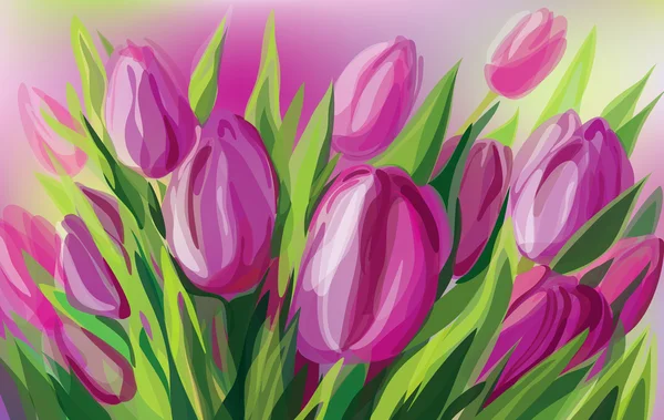 Vektor růžových tulipánů. — Stockový vektor