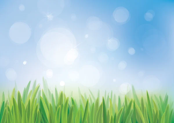 Vector de fondo primaveral, cielo azul y hierba verde . — Vector de stock