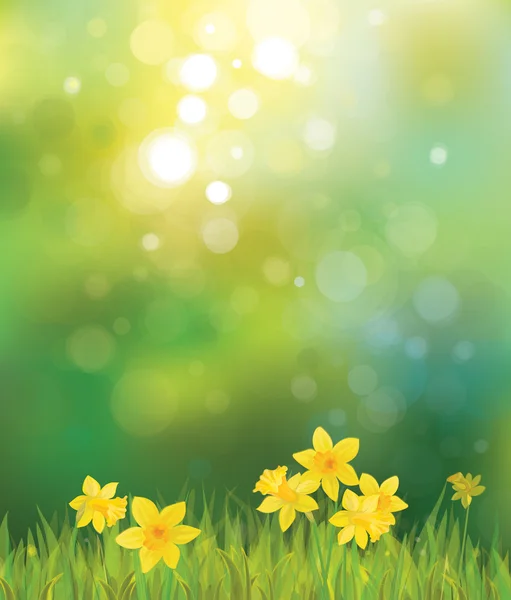 Spring background. — Stock Vector