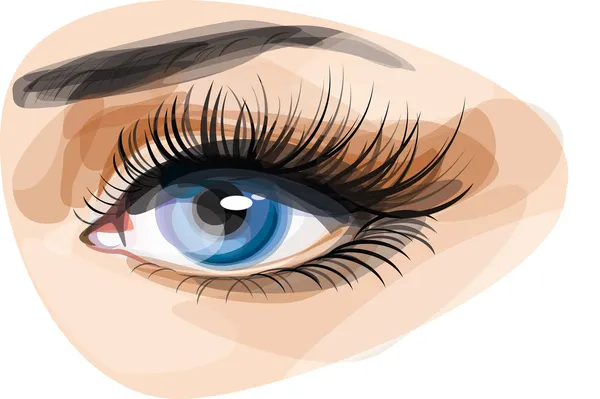 Beautiful blue woman's eye. — Stock Vector