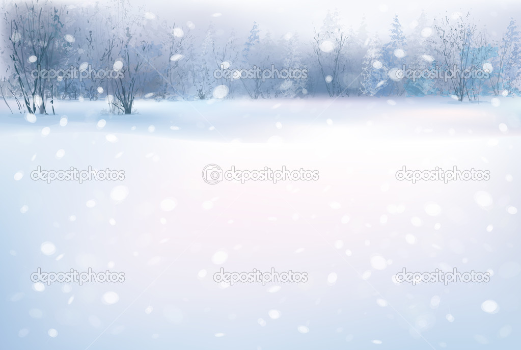 winter scene with forest