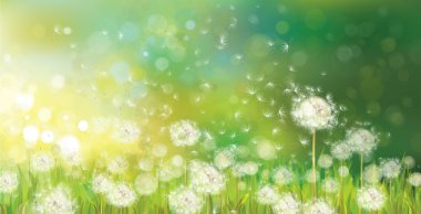 Spring background clipart