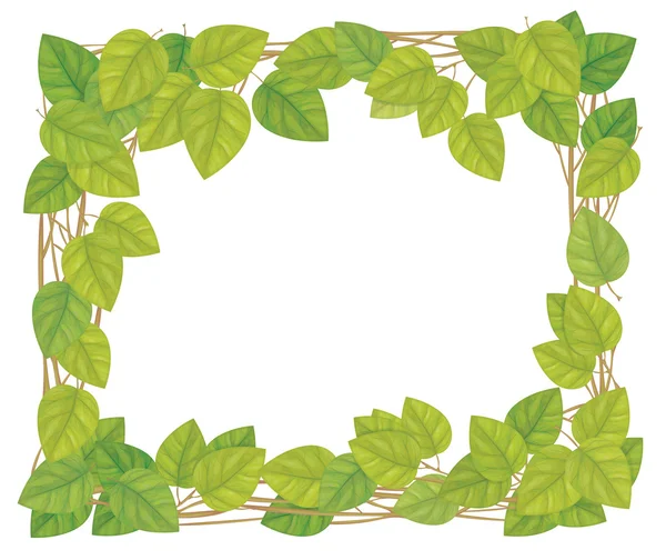 Frame of green leaves. — Stock Vector