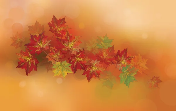 Vector herfst achtergrond. — Stockvector