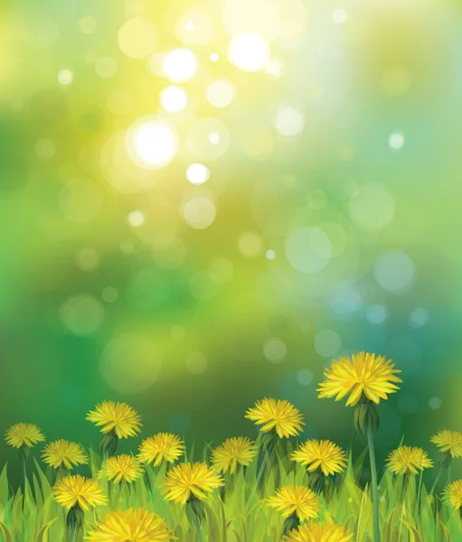 Spring background with yellow dandelions. — Stock Vector