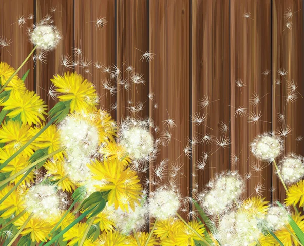 Vector dandelions on wooden background. — Stock Vector