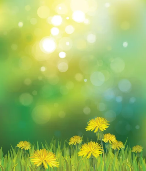 Vector of spring background with yellow dandelions. — Stock Vector