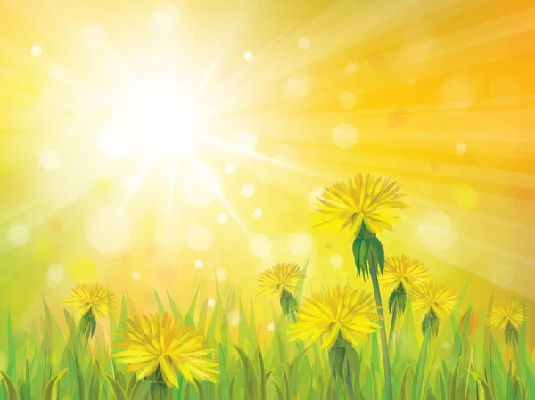 Vector of spring background with yellow dandelions. — Stock Vector