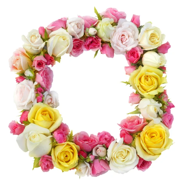 Floral frame rozen geïsoleerd. — Stockfoto