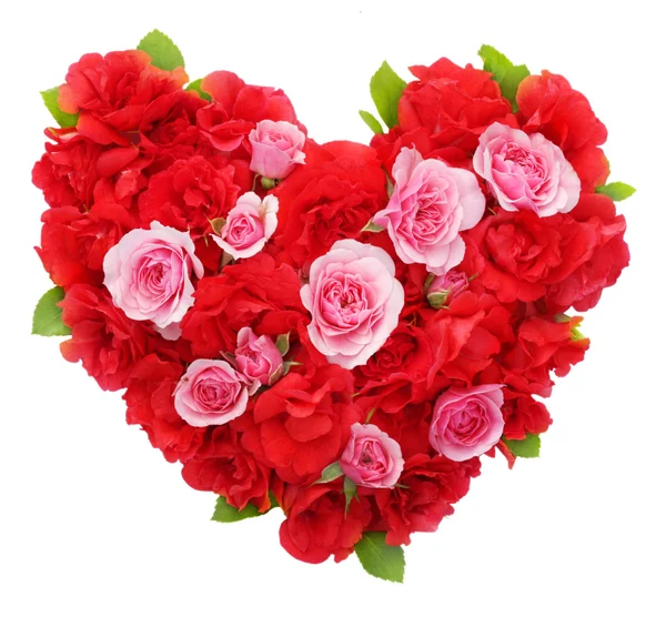 Roses flowers heart shape isolated. — Stock Photo, Image