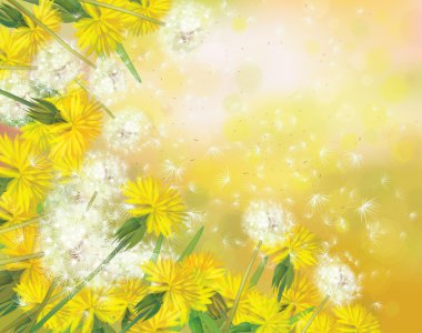 vektör dandelions arka plan.