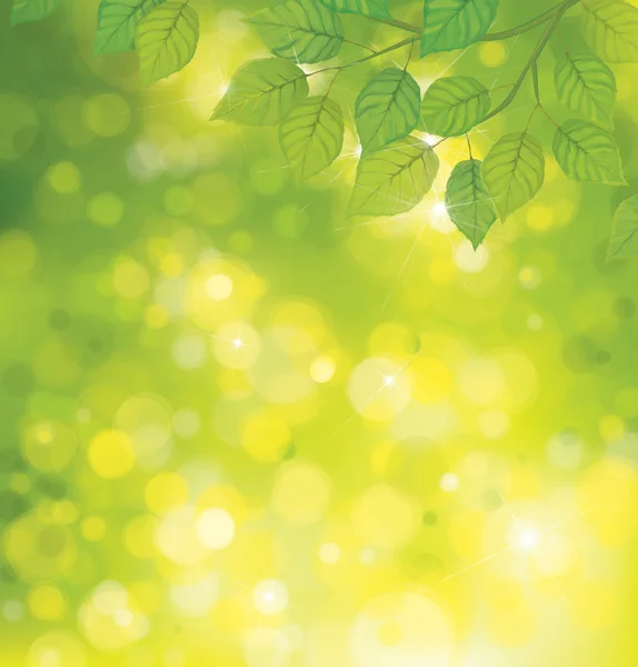 Векторне зелене листя на фоні сонця . — стоковий вектор