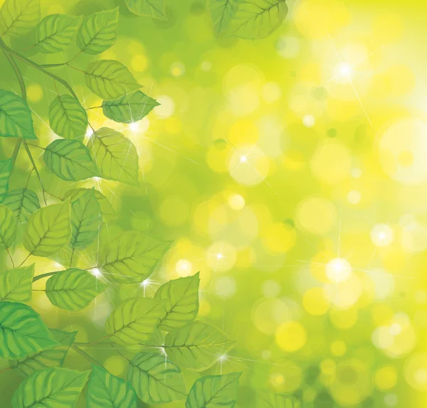 Folhas verdes no fundo luz do sol . —  Vetores de Stock