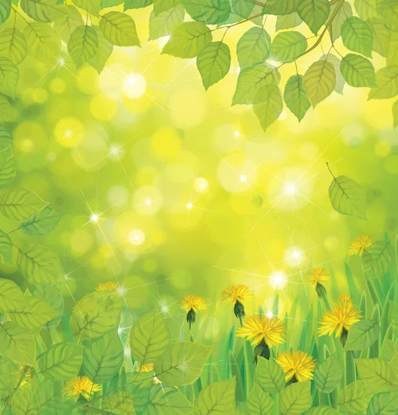 Vector spring background with yellow dandelions. — Stock Vector