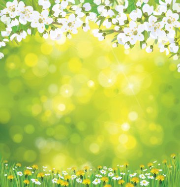 Vector blossoming tree on spring background. clipart