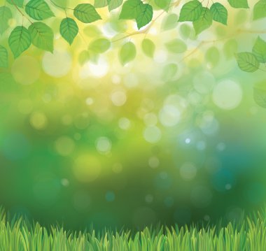 vektör yeşil dallar ve çimen yaprakları