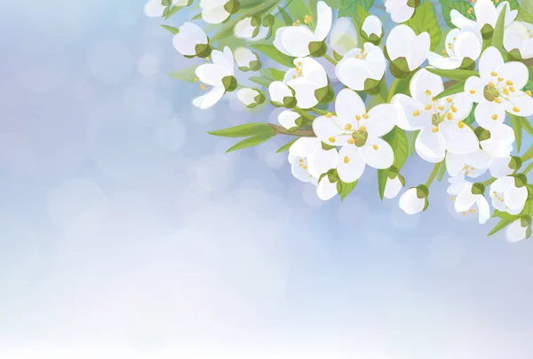 Kwitnąca wiśnia treeon niebo tło wektor. — Wektor stockowy