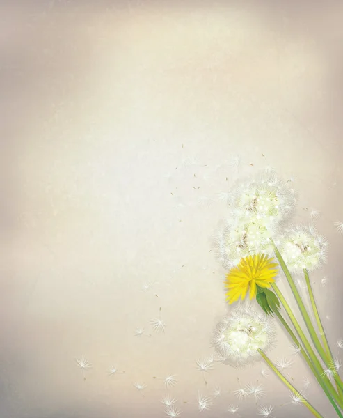 Vektor maskros blommor på papper bakgrund. — Stock vektor