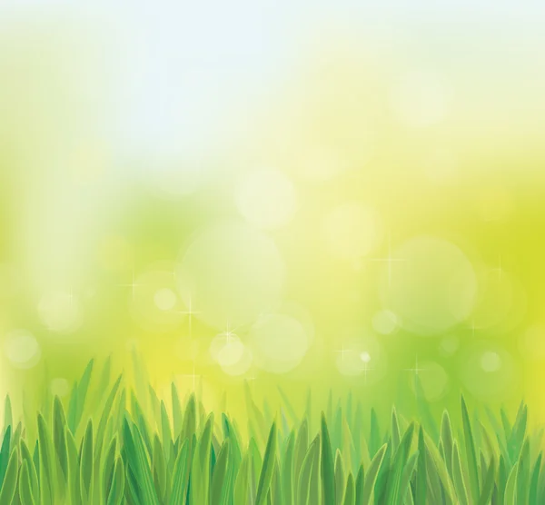 Fondo de primavera vectorial con hierba . — Vector de stock