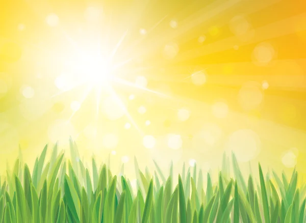 Vector sunshine background with grass. — Stock Vector
