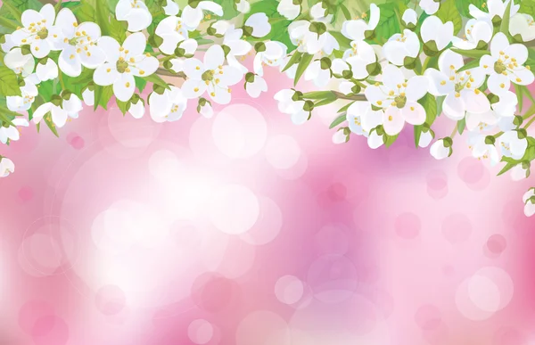 Vector blossoming tree on pink background. — Stock Vector