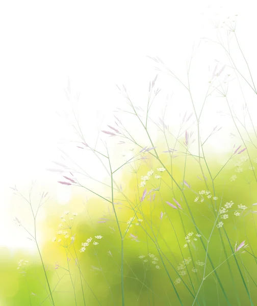 Vektor Wildblumen Hintergrund. — Stockvektor