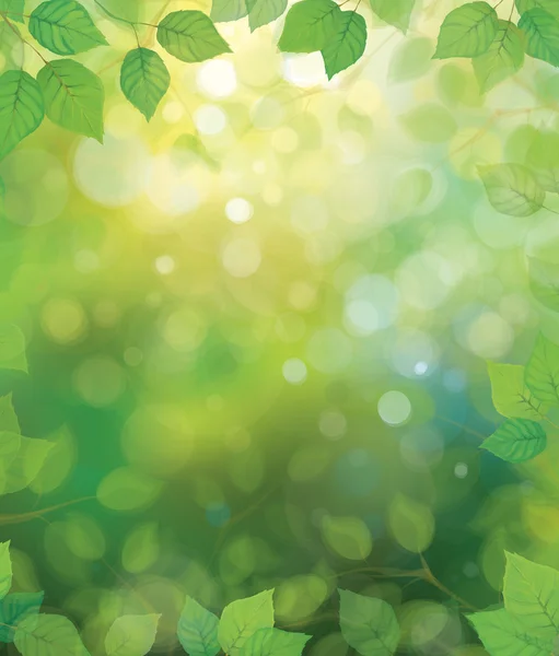 太陽の光を背景にベクトルグリーンの葉. — ストックベクタ