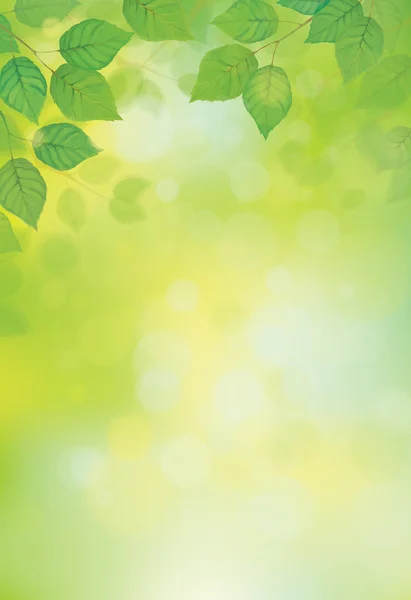 Vektor zöld levelek napfény háttér. — Stock Vector