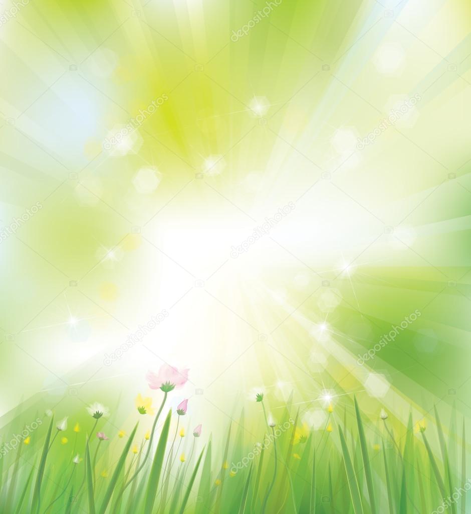 Vector spring background.