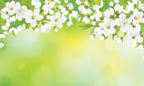 Árbol vectorial en flor sobre fondo primaveral . — Vector de stock