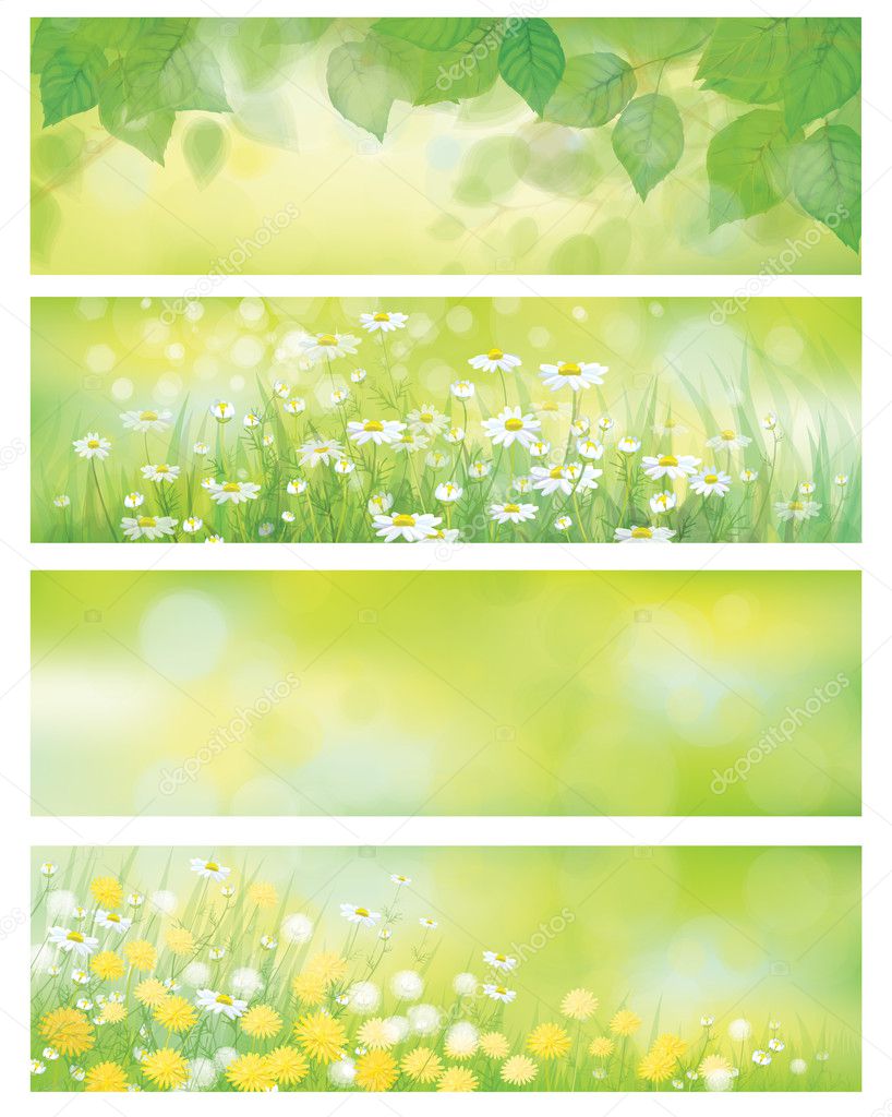 Vector  spring nature banners, birch  tree leaves,  dandelion an
