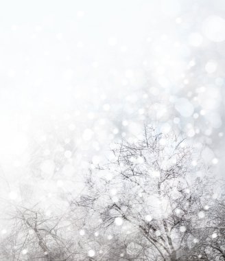 Kış Doğa arka plan ağaç ve kar yağışı.