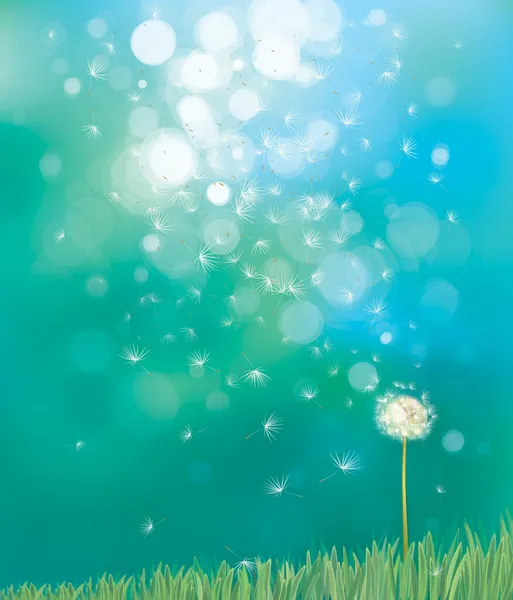 Vector of spring background with white dandelion. — Stock Vector