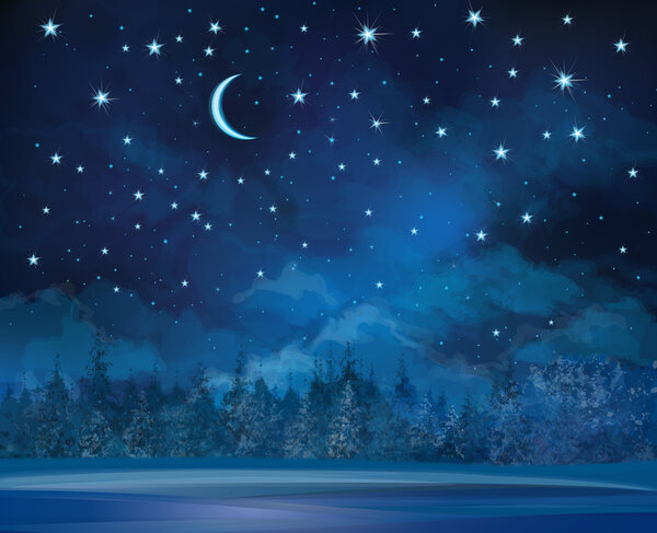 Vector night winter scene, sky and forest background.