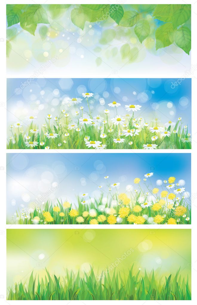 Vector spring nature banners, birch tree leaves, dandelion and c