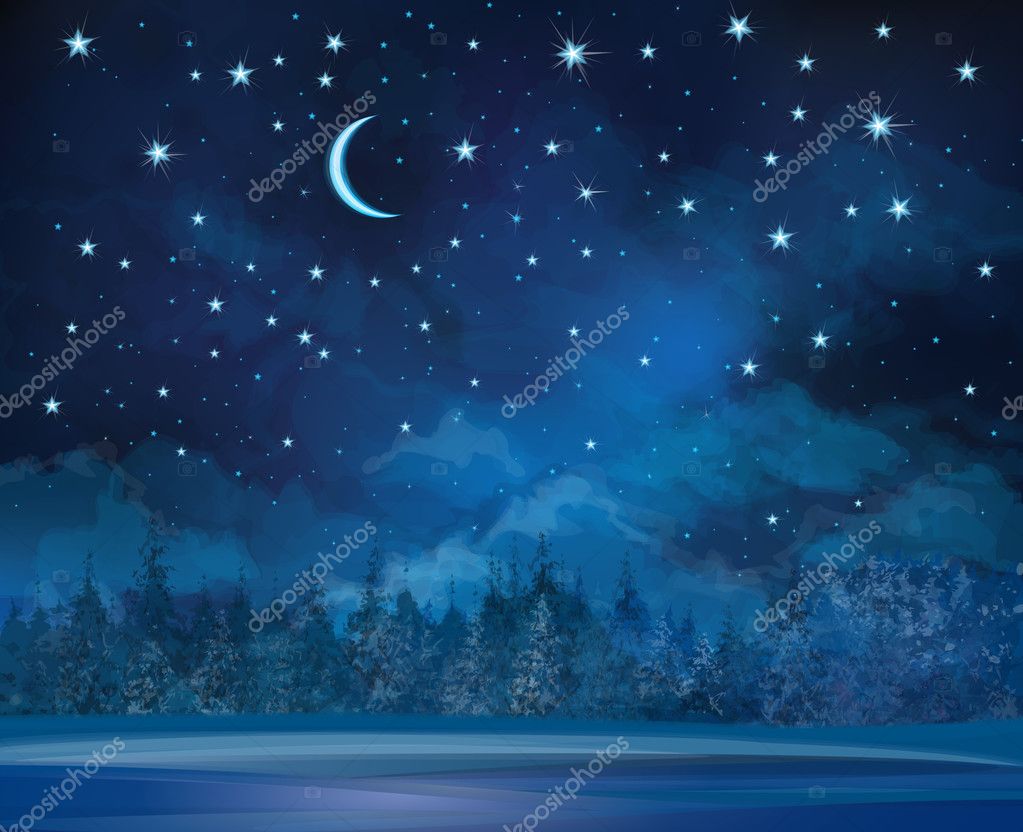 Vector night winter scene, sky and forest background. Stock Vector