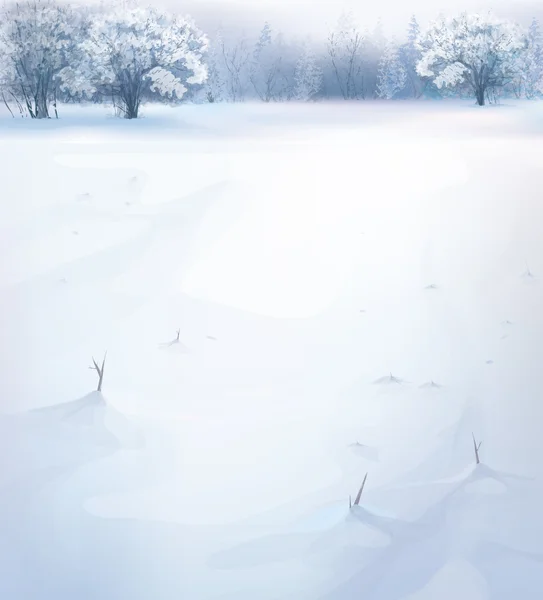 Векторный зимний пейзаж . — стоковый вектор
