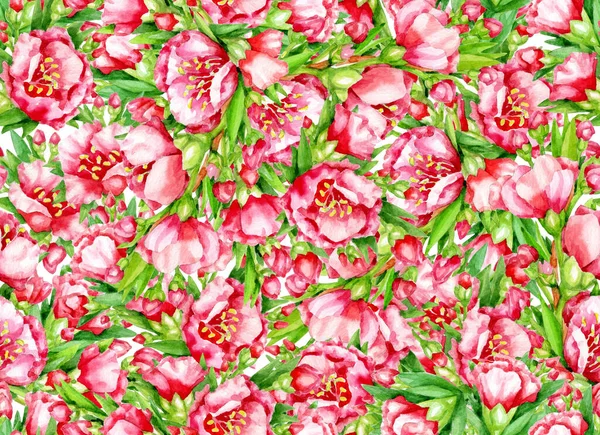 Zökkenőmentes Virágos Háttér Vörös Virágok Zöld Levelek Akvarell Kézzel Rajzolt — Stock Fotó