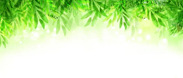 Green Leaves Bokeh Nature Background Green Leaves Border Spring Background — Stock Photo, Image