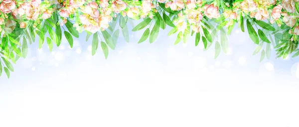 Blossoming Tree Bokeh Nature Background Green Leaves Border Spring Background — Stock Photo, Image